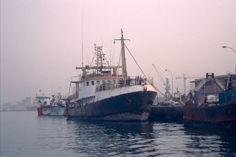 Заради Covid-19 ЕС приема спешни мерки в областта на рибарството и аквакултурите