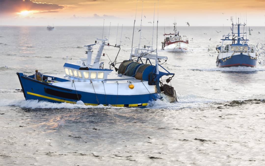 Пандемията Covid-19 засегна сериозно риболовния сектор