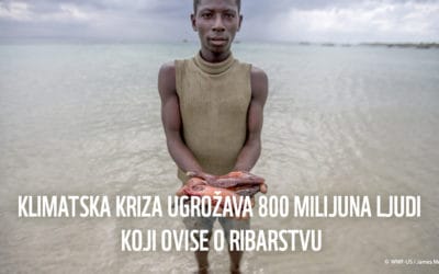 Istraživanje: klimatske promjene ugrožavaju mali gospodarski ribolov, potrebne su hitne mjere