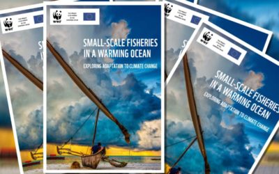 Relatório da WWF revela que é necessário adotar uma ação urgente para que os pescadores de pequena escala consigam resistir à crise climática