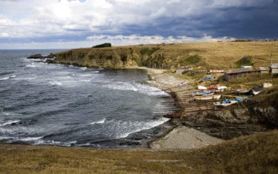 В деня на Черно море WWF алармира, че риболовният натиск върху рибните запаси се засилва