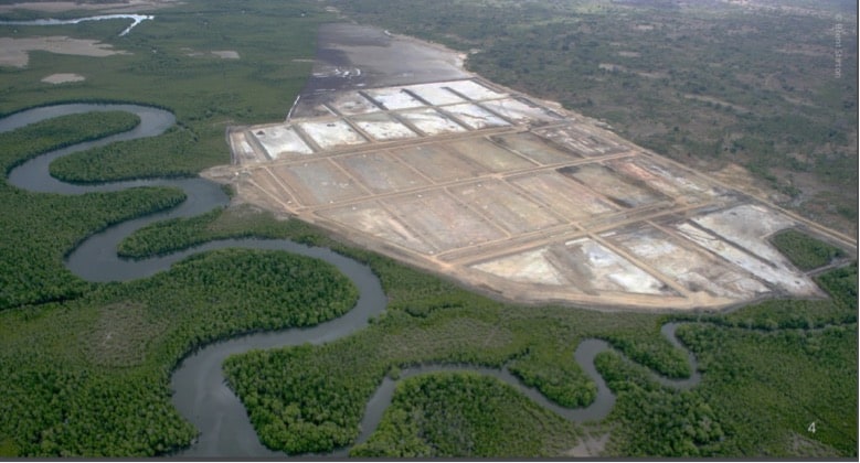 Up to 25% of mangroves worldwide converted to shrimp ponds