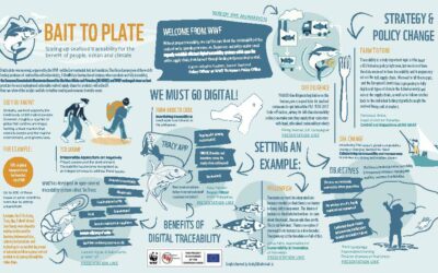 Seafood industry and policy makers call for improved seafood traceability at EU level