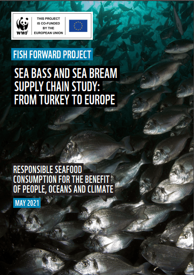 Report cover_Cover photo Tahsin Ceylan Lagonoy Gulf Shoot (c) Gregg Yan WWF